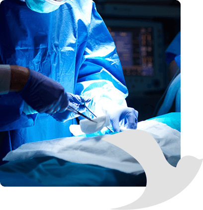 MISS at LiveWell - banner