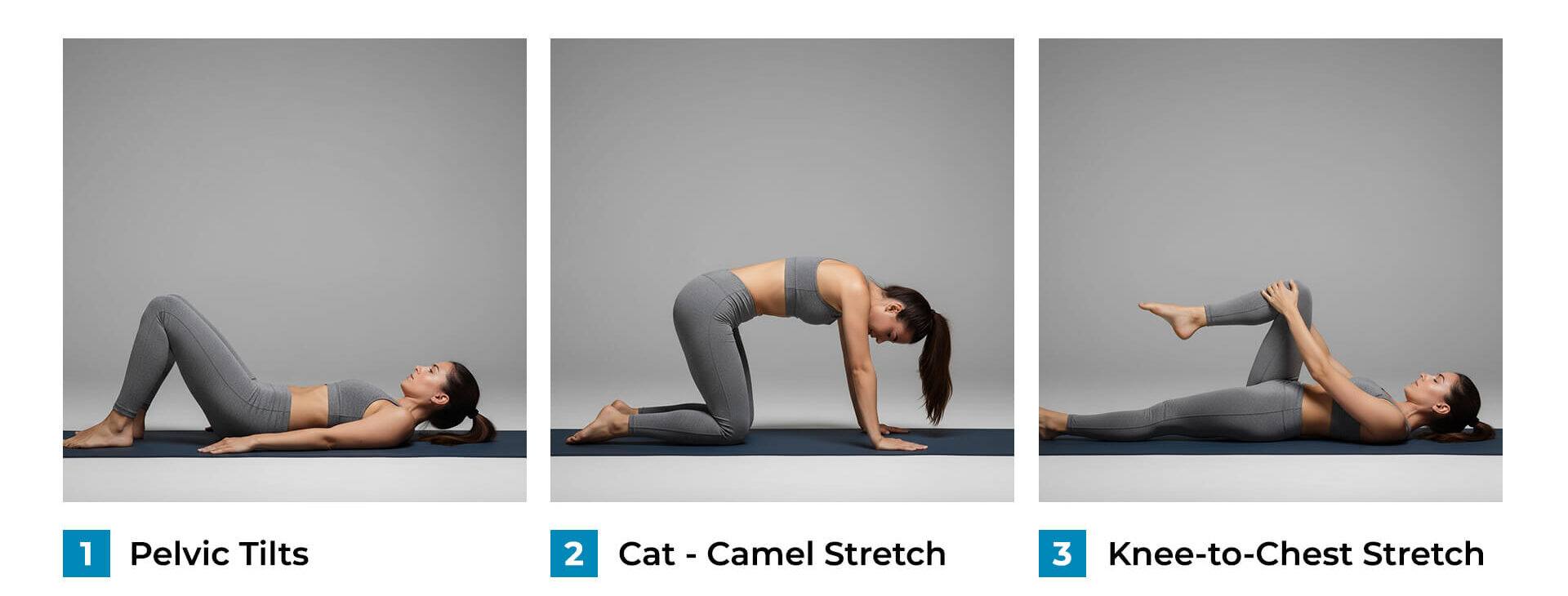 back_pain_excercises_banner_1